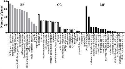 A Systematic Analysis on the Genes and Their Interaction Underlying the Comorbidity of Alzheimer's Disease and Major Depressive Disorder